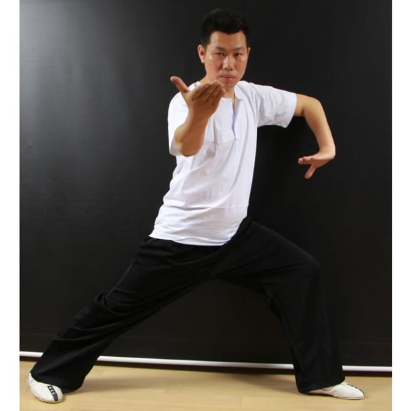 23901-male-t-shirt-clothes-martial-arts-clothes-kung-fu-shirt-100-short-sleeve-cotton-t-shirt